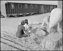 Making Straw Mattresses