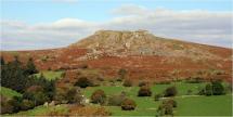 War Horse - Sheeps Tor