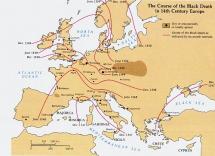 Trade Routes in the 14th Century 