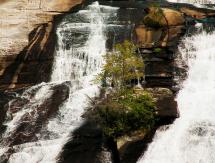 The Hunger Games - DuPont State Forest