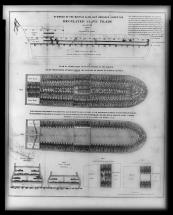 Slave Ship Brookes - Legal Layout of Slave Stowage