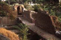 Circus Maximus Ruins