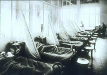 Sick Bay - WWI U.S. Soldiers in France