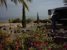 Capernaum