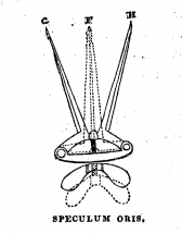 Torture Device Used to Feed Slaves Against Their Will