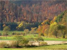 Fairy Tale Road - Reinhards Forest