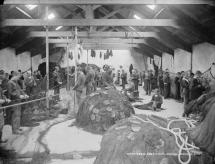 Irish Industrial Schools - Boys Making Fish Nets