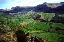 Fields of Auvergne