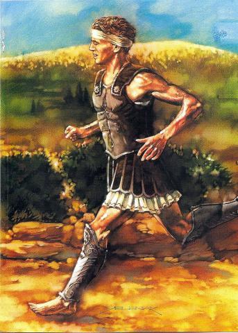 pheidippides