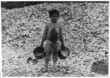 Lad Working at the Oyster Cannery