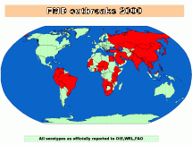 The Foot and Mouth Disease Outbreak