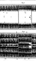 Inhuman Housing of Slaves Aboard Slave Ships