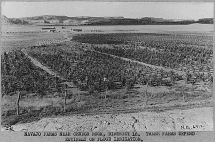 Navajo Farms in an Arid Land