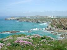 Beauty of Cornwall