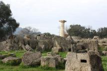 Temple of Zeus