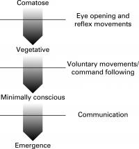 Comatose - Levels of Alertness