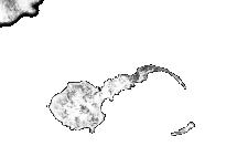 Photograph of Corregidor