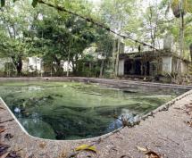 Pablo Escobar's Ranch and His Hippos