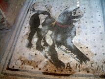 Ancient Mosaic - Beware of the Dog