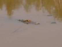 Low Country of South Carolina