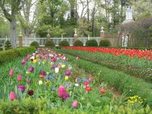 Governor's Mansion at Williamsburg - Grounds