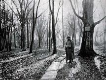 Armistice, 1918 - Compiegne Forest Clearing