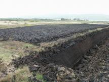 Peat Farm Photo