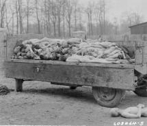 Photo: Death at Buchenwald