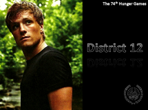 District 12 Male Tribute - Peeta Mellark