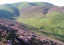 Beautiful Scene at Ladyside Pike