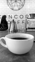 Concord Coffee