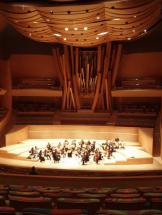 The Soloist - Interior of Walt Disney Hall