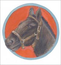 War Admiral - Drawing