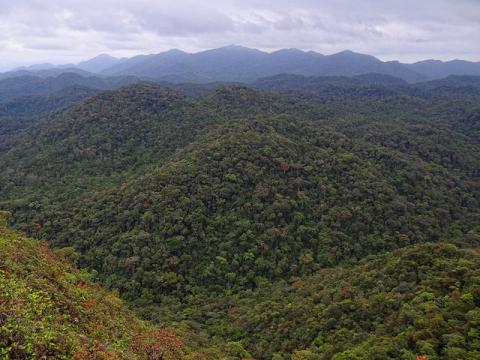 Atlantic Forest in Brazil Ancient Places and/or Civilizations World History Ethics STEM Geography