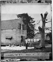 Slaves - Preparing Cotton