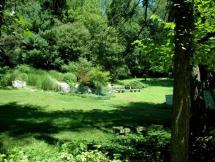 Wysteria Cottage - Trees at the Site