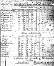 Knickerbocker Tally Sheet