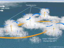 Hurricane Formation - Weather Conditions