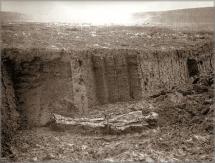 Bog Body - Found in a Dutch Bog