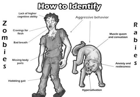 RABIES and ZOMBIES (Illustration) Ethics Education Medicine Social Studies STEM Dystopia or Science Fiction Disasters