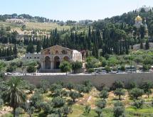 Mount of Olives - The View