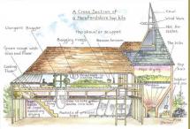 Hops to Beer - Diagram of Beer Brewing