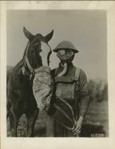 Protecting Horses and Soldiers from Chemical Attacks in WWI