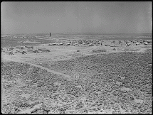 View of the Minidoka Camp