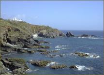 Lizard Point