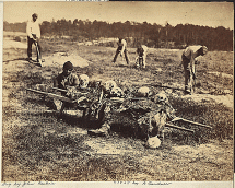 Digging Up Fallen Soldier Remains at Cold Harbor, Virgina