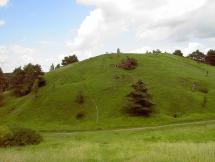 Schlangenberg 