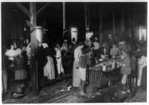 Children Working in a Biloxi Cannery