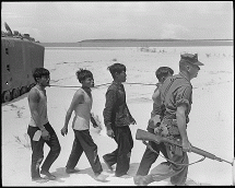 Viet Cong Prisoners