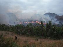 Slash and Burn - Clearing Land